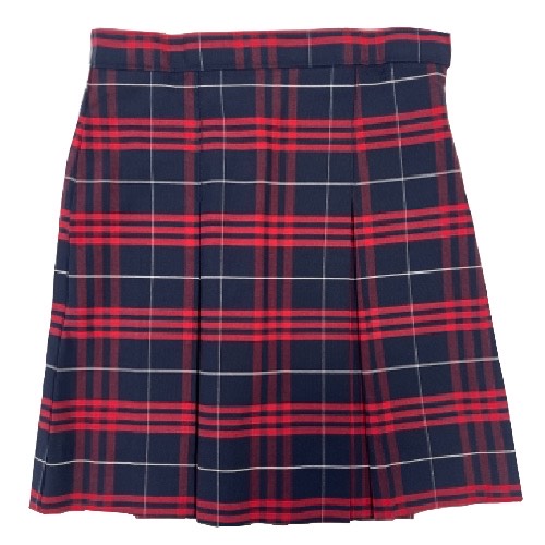 BBCA Girls Plaid Skirt